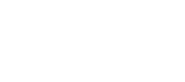 logo-web-h